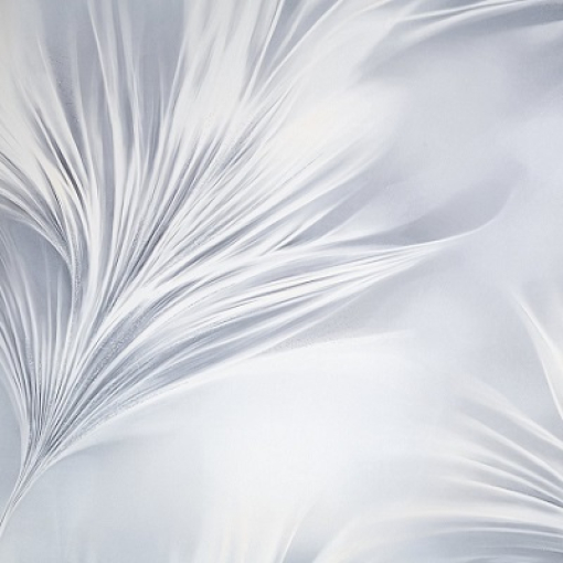 Обои Палитра SL72483-41